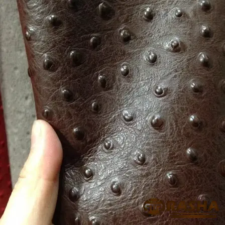 Classification of Embossed Ostrich Leather Based on Quality and Color