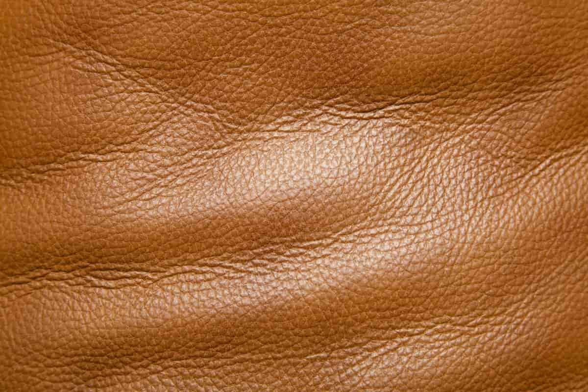 raw vegan leather